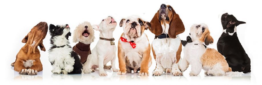 Adoro Cachorros Cover Image