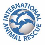 International Animal Rescue Profile Picture